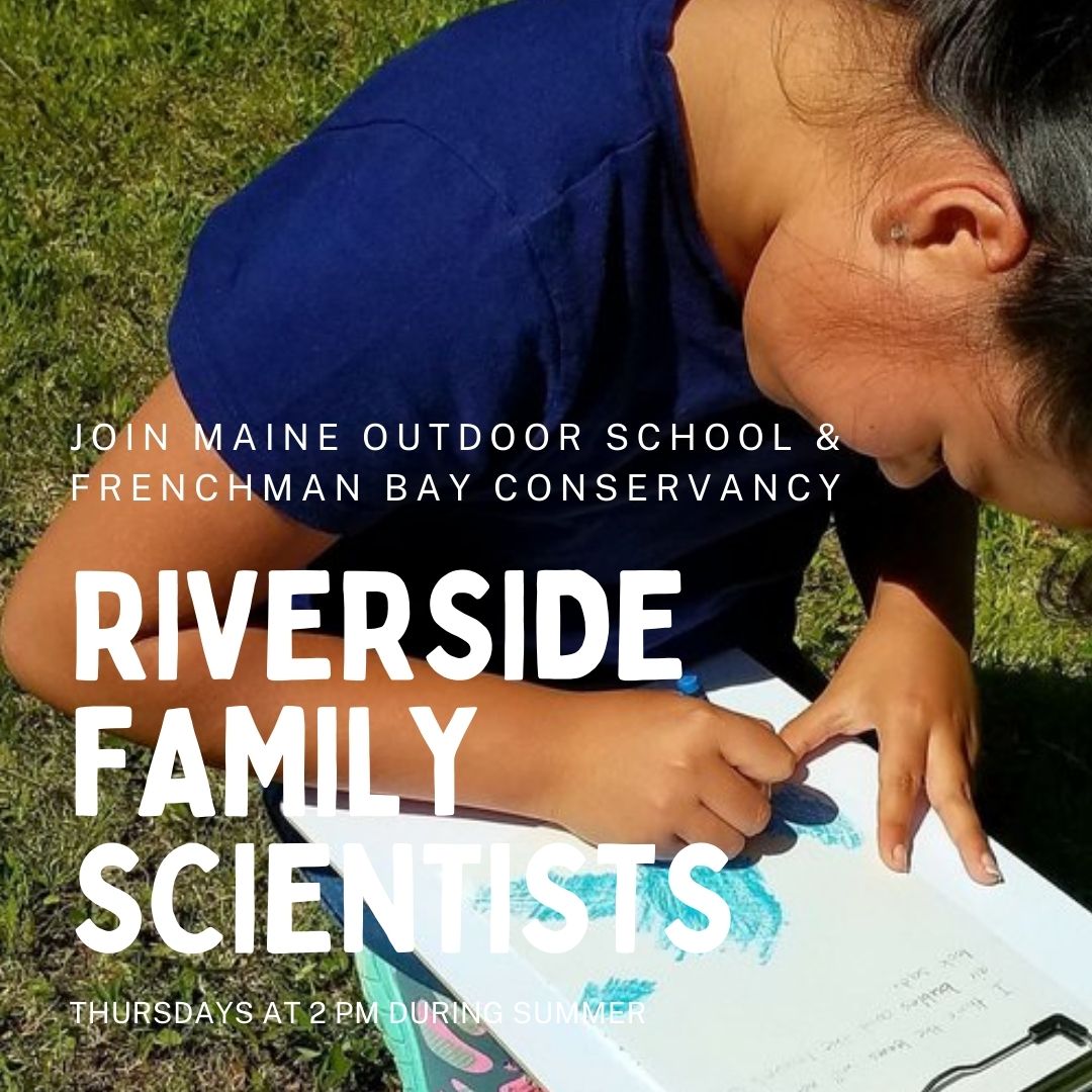 Riverside Family Scientists: Nature Journaling
