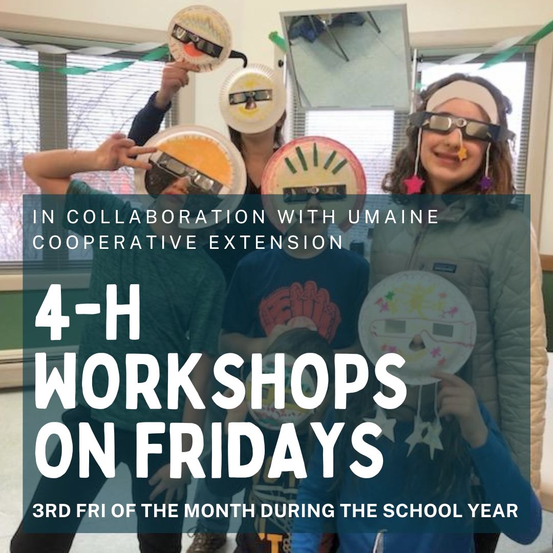 4-H Workshop