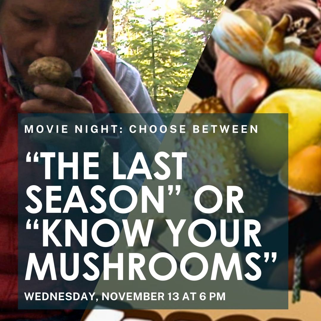 Mushroom Movie Night: The Last Season