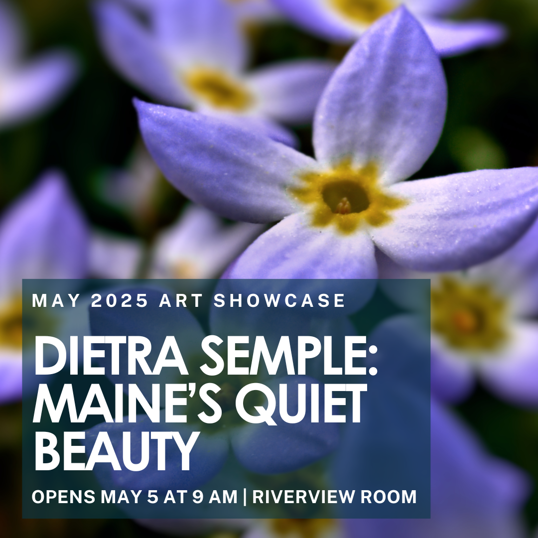 May Art Show: Maine's Quiet Beauty