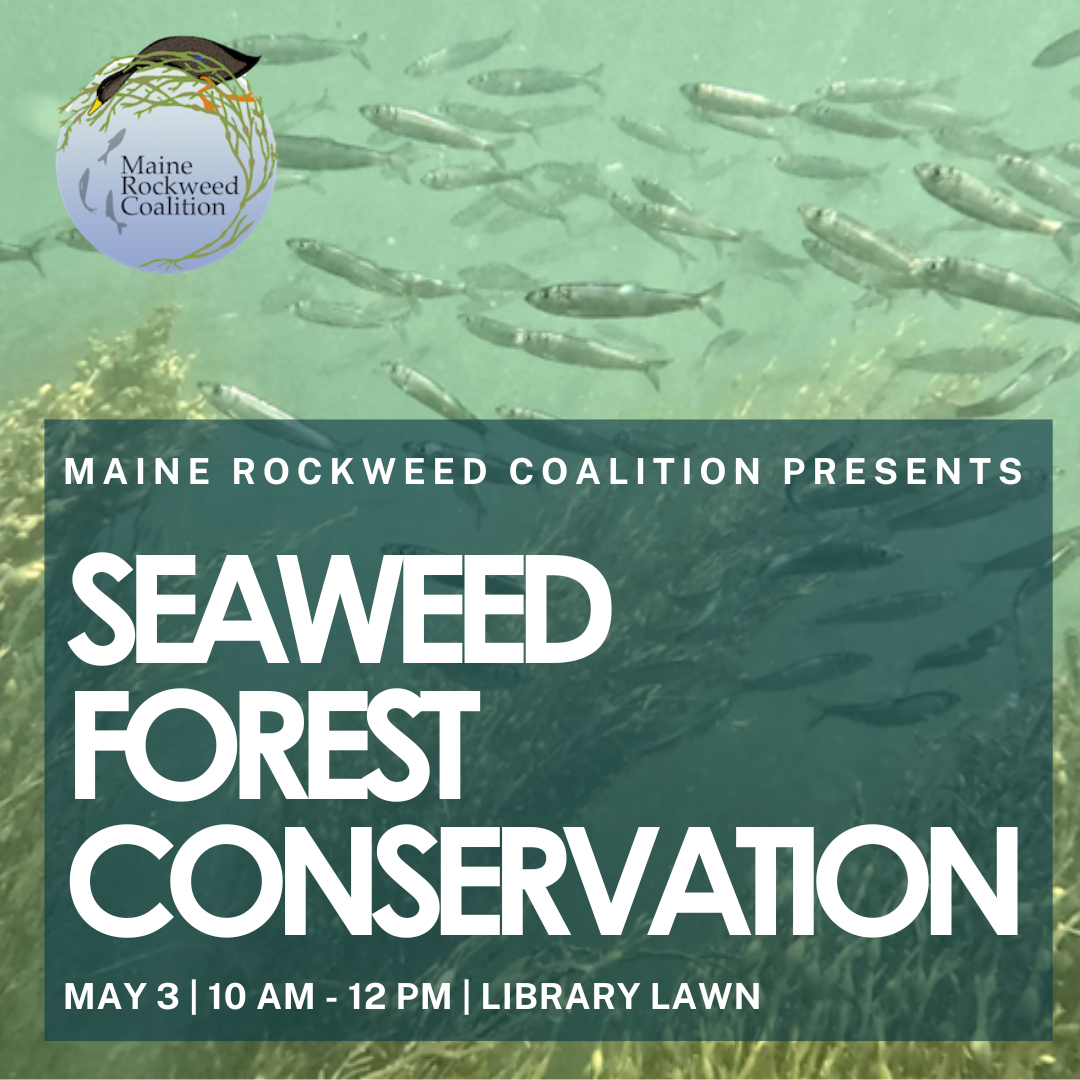 Maine Rockweed Coalition