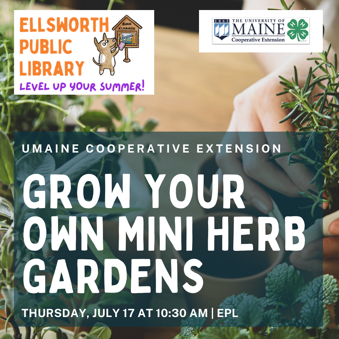 4-H Workshop: Mini Herb Gardens