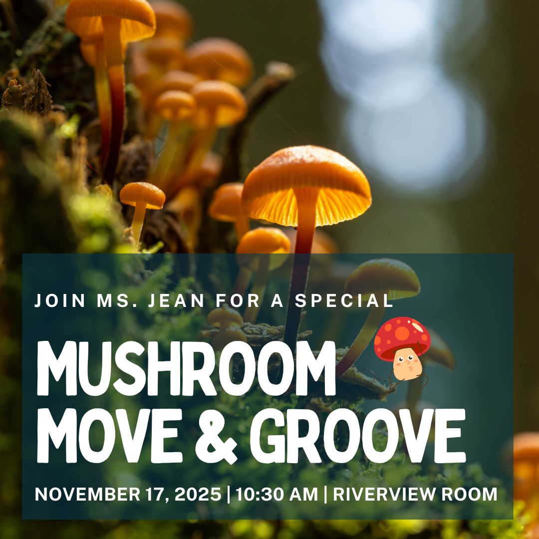 MUSHROOM Move & Groove