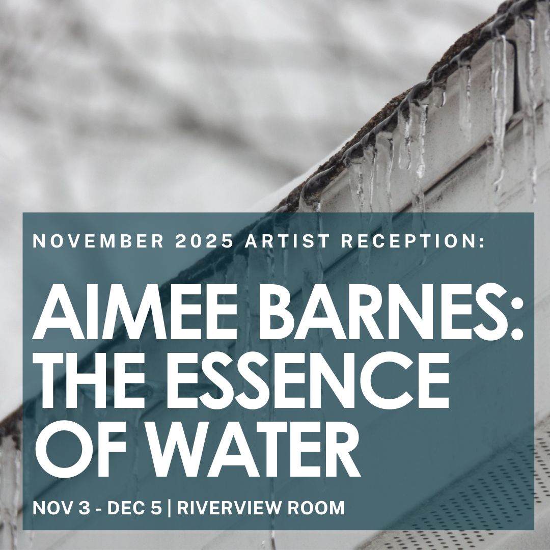 Artist Reception: Aimee Barnes